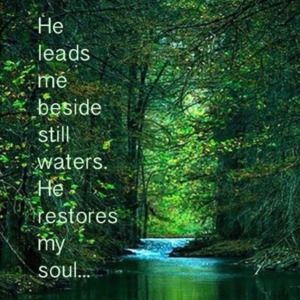 Meet your Posher, Art